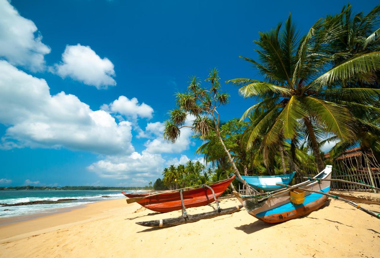 Aloevera Villa Negombo Eksteriør bilde